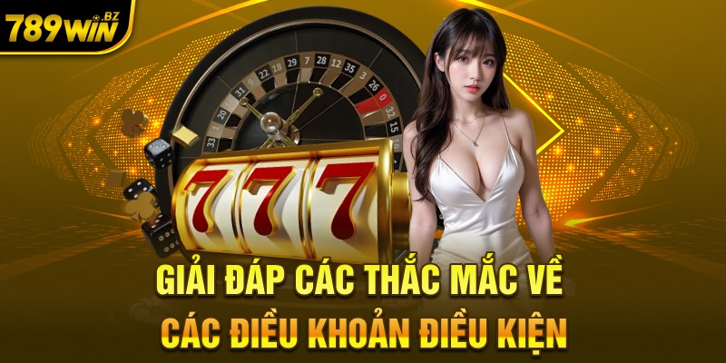 Giải đáp các thắc mắc về các điều khoản điều kiện